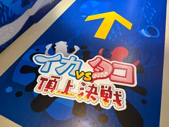 ika tako
