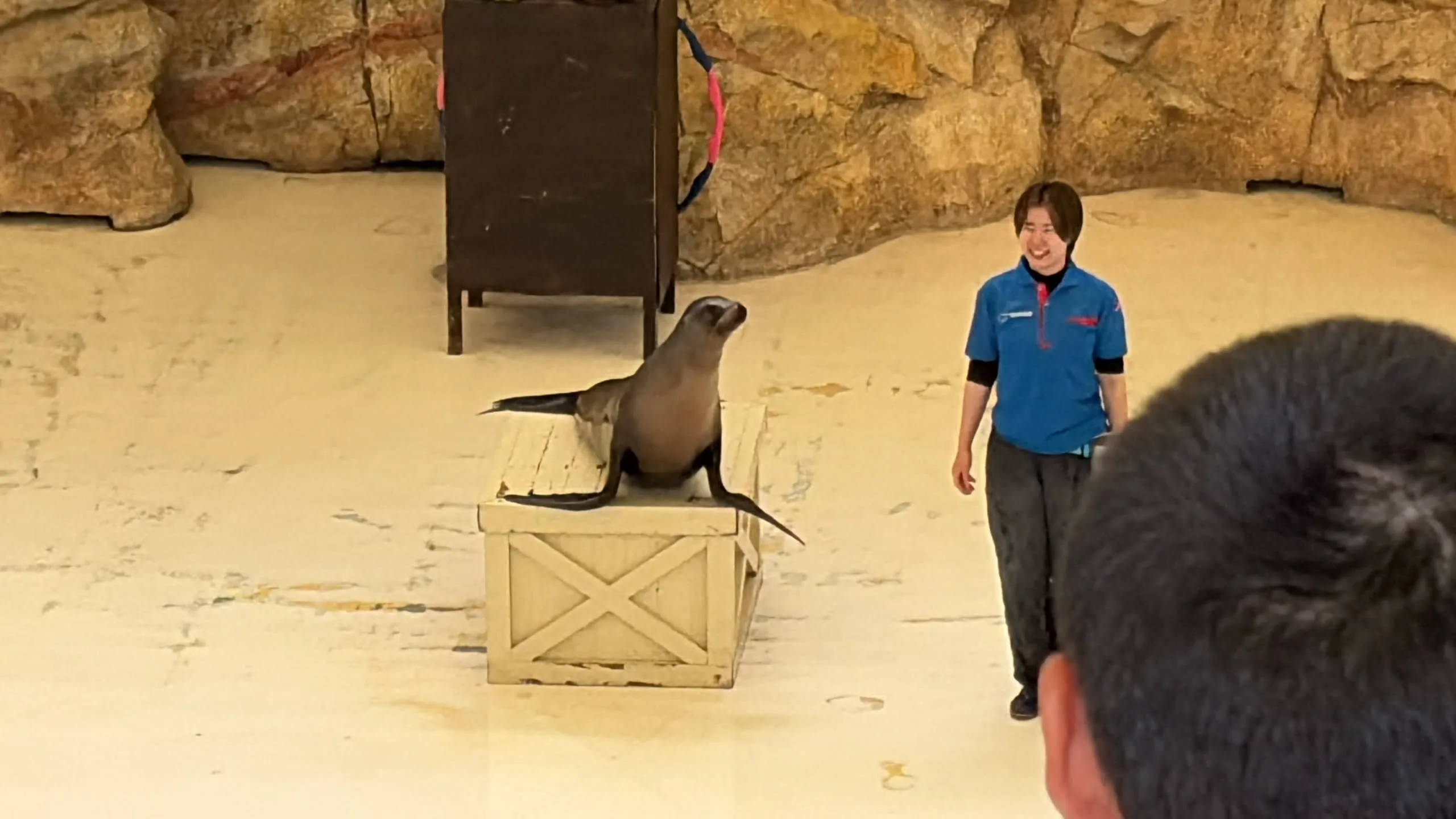 otter 2