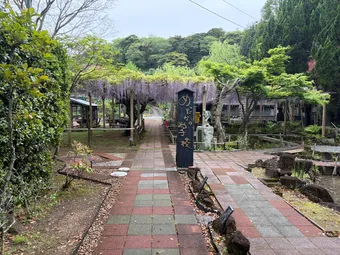 medaka entrance